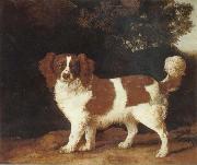 George Stubbs Dog oil